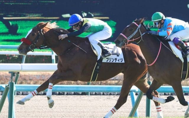 【新馬/中山5R】ドゥラメンテ産駒 ブリンディジがデビューV