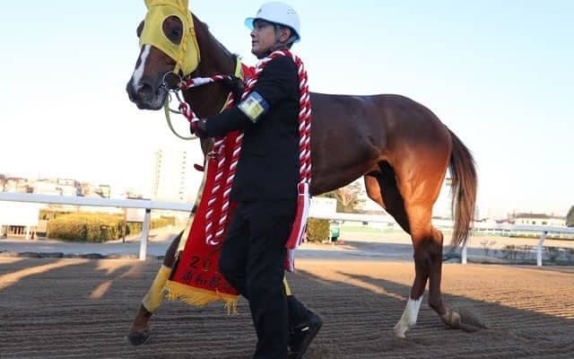 【浦和・ゴールドC】競り合いを制したティーズダンク和田譲治騎手「最後は勝ったと思いました」