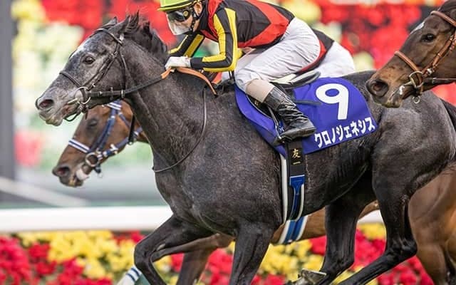 【有馬記念予想オッズ】ラストランのクロノジェネシスが予想1番人気