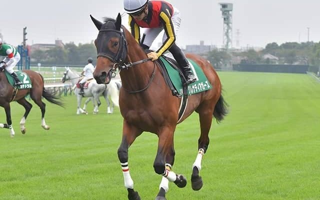 【阪神C予想オッズ】昨年の2歳マイル王グレナディアガーズが予想1番人気