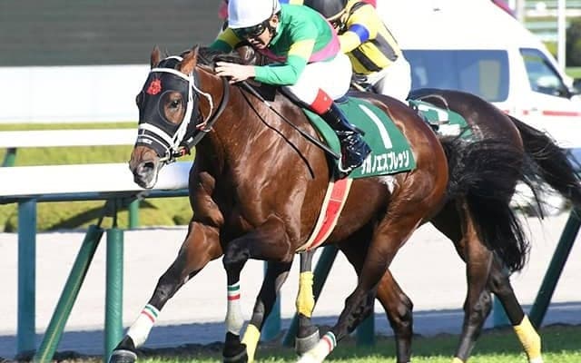 【中山大障害予想オッズ】タガノエスプレッソが予想1番人気