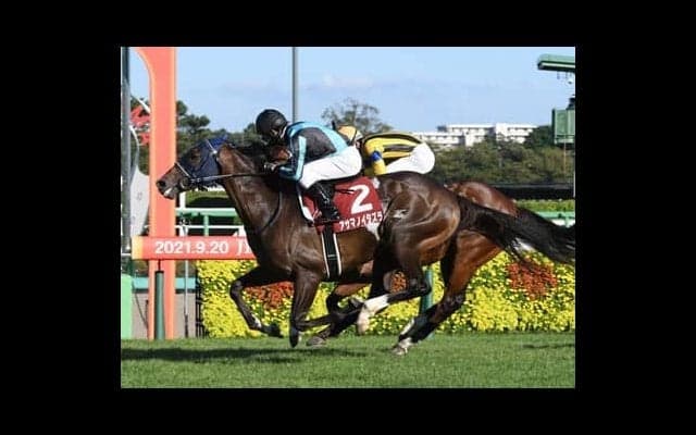 有馬記念に強い馬を血統から探す。浮かび上がったのは「父仔制覇」を狙う２頭