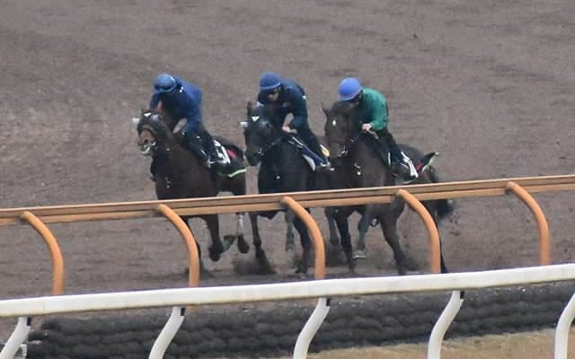 ジャスティンパレス、ホープフルS追い切り速報/栗東トレセンニュース