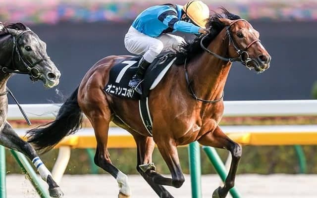 「偉大な者」オニャンコポンの快進撃が止まらない！ エイシンフラッシュ産駒初のJRA重賞制覇へ