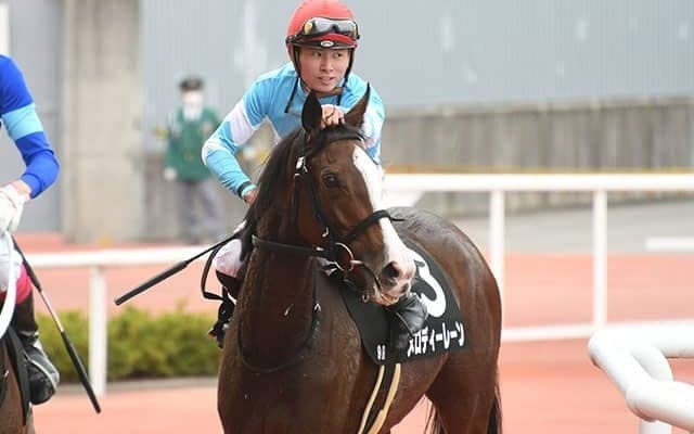 メロディーレーン有馬記念出走までの軌跡　岡田牧雄氏が語る「競走馬になれない」可能性もあった牧場時代