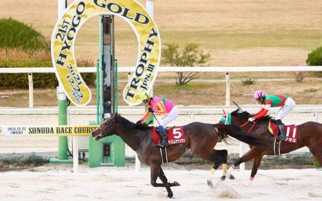 【兵庫ゴールドトロフィー】テイエムサウスダンが交流重賞4勝目