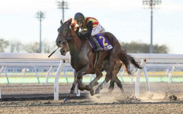 アイスジャイアントが故障