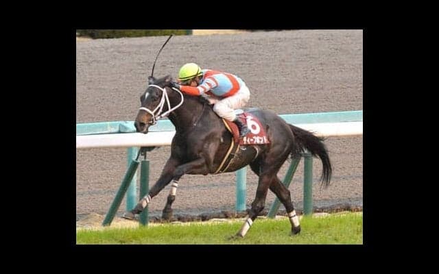 有馬記念の激走候補２頭。穴党記者が今の中山の馬場に「ぴったり」と激推し