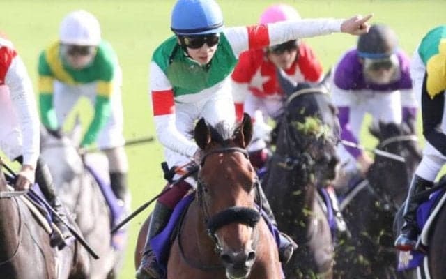 【有馬記念】出走馬の調教後の馬体重