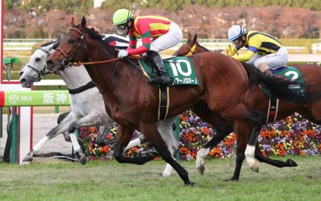 フィアーノロマーノが競走馬登録抹消