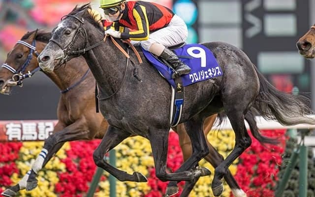 【有馬記念 調教後馬体重】クロノジェネシスは488kg、エフフォーリアは521kg