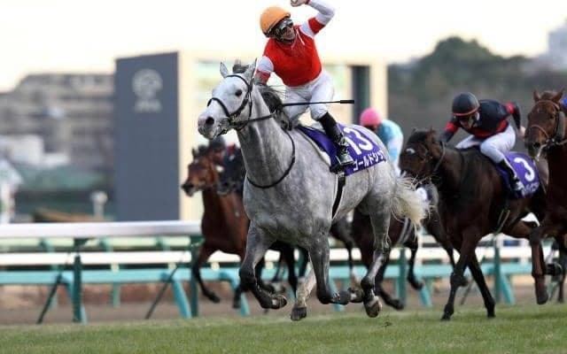 【有馬記念予想】オリンピックイヤーは菊花賞馬が強い!? データdeア・ラ・カルト