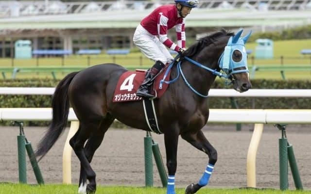 【中山大障害枠順確定】タガノエスプレッソは3枠4番、オジュウチョウサンは3枠3番