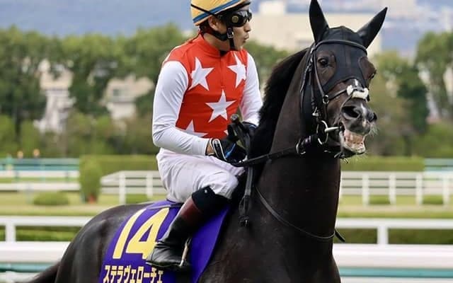 【有馬記念 注目馬(15)】クラシックで3、3、4着…勢いに乗る鞍上を背に今度こそ王座へ