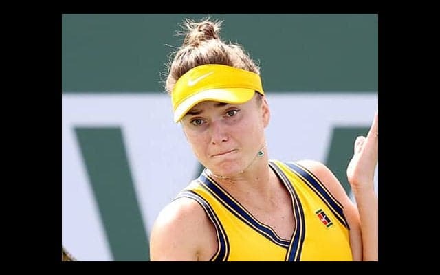 スイトリナ 来季の新チーム公開