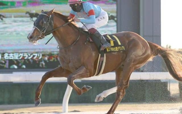 【名古屋グランプリ回顧】長距離で素質開花ヴェルテックス/斎藤修