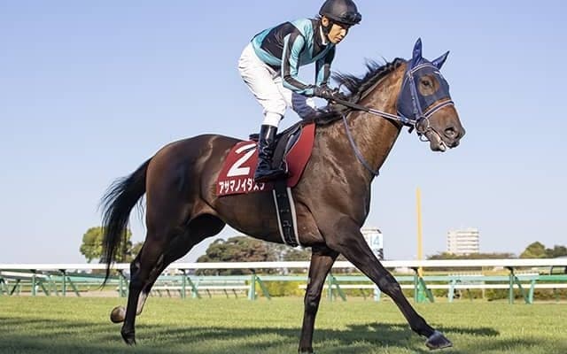 【有馬記念予想】 みんなが選んだ“夢”を発表！ 1万人超の競馬ファンが注目する“隠れた実力馬”とは!?
