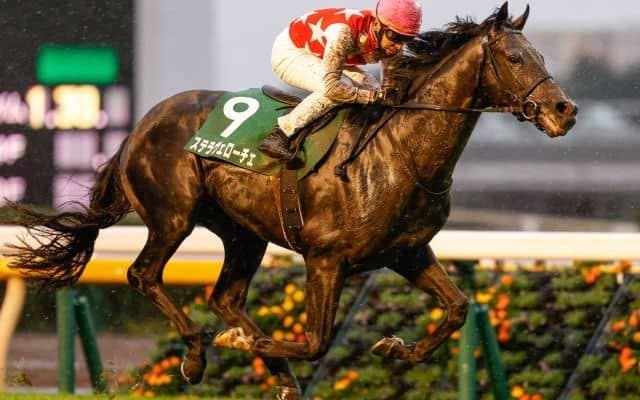 【有馬記念前々日オッズ】ステラヴェローチェが2.4倍で1番人気