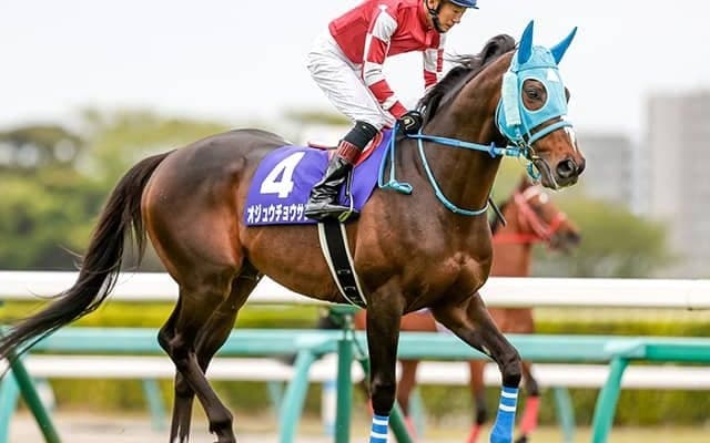 【本日の注目ポイント】障害の大一番・中山大障害、好メンバーの阪神Cにも注目