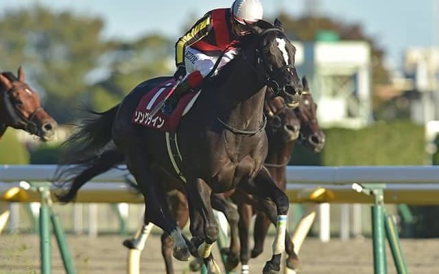 【阪神C予想】屈指の「リピーター」レース　昨年の覇者に死角はあるか？