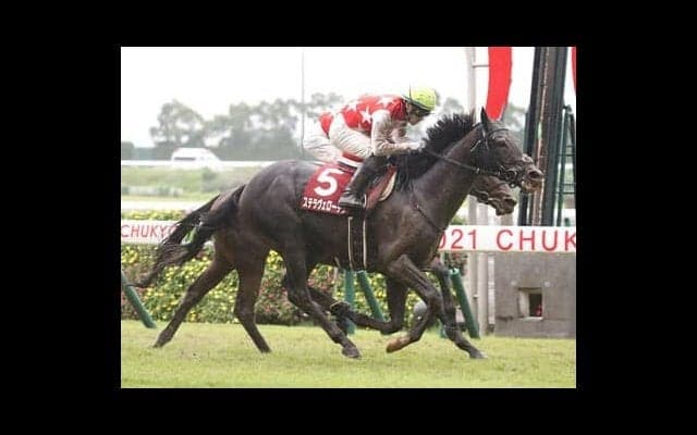 有馬記念は２強の一騎打ちか。一角崩しがあるなら持久力勝負で浮上する「善戦マン」