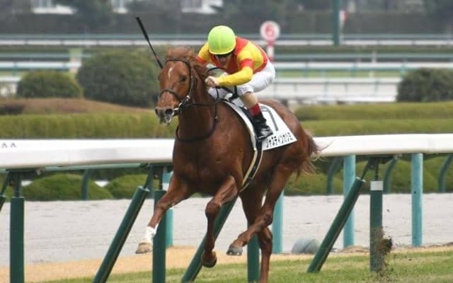 【阪神5R新馬戦結果】ルメール騎手騎乗ジャスティンカツミが逃げ切りV