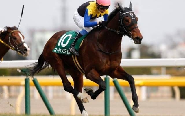 【有馬記念予想】今年の有馬記念はリスグラシューが制した2019年のような「異例の有馬記念」となるか!?
