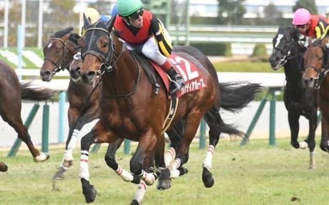 【阪神C結果】グレナディアガーズが差し切り久々の重賞制覇！3歳馬のワンツー