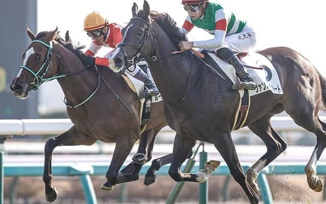 【JRA】横山武史騎手が1月15日から2日間の騎乗停止、中山5Rで追う動作緩める