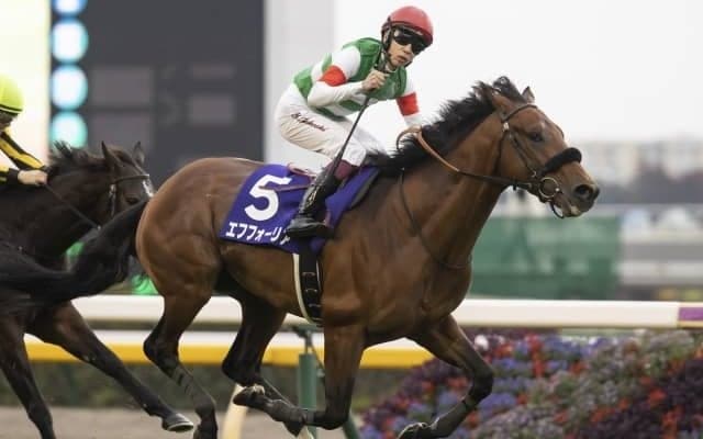 【有馬記念前日オッズ】ファン投票1位のエフフォーリアが2.5倍で1番人気