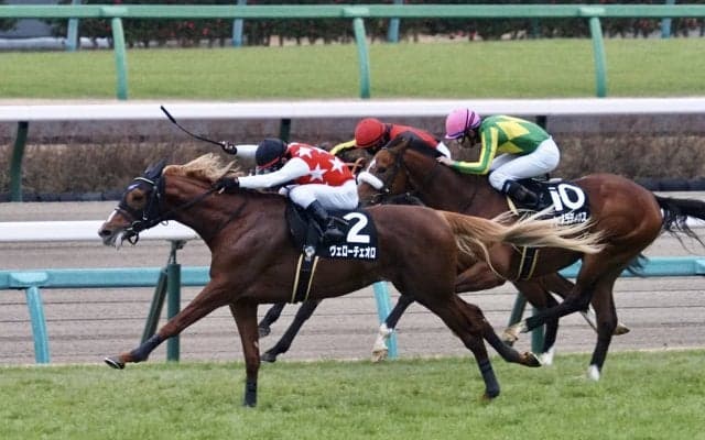 【グレイトフルS】ゴールドシップ産駒 ヴェローチェオロがオープン入り