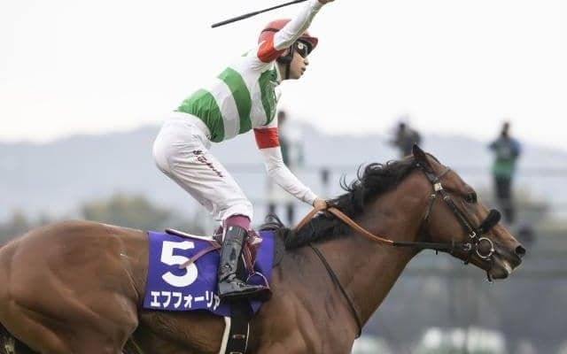 【有馬記念予想】スピード・パワー・底力の全てを持つあの馬を高く評価したい