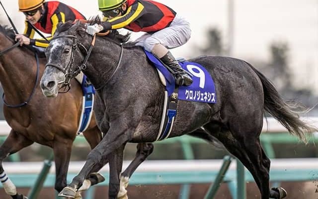 【有馬記念予想】AIはエフフォーリアを降格!? 本命「◎」に抜擢されたのは「あの牝馬」