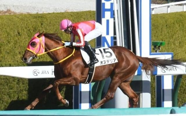 【阪神4R新馬戦結果】オステリアが早め先頭から押し切り5馬身差圧勝