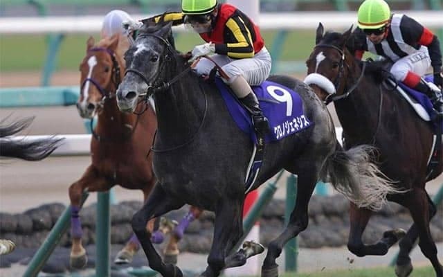 【有馬記念・馬体重】クロノジェネシスは478kg、エフフォーリアは516kg(+2)