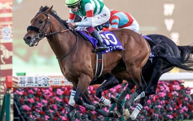 【有馬記念】売上は490億9724万6400円で昨年からおよそ26.7億円の増加
