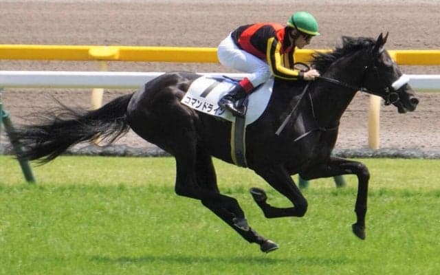 【ホープフルS】出走馬の調教後の馬体重