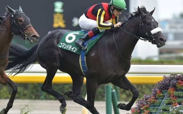 火曜日にJRA最後のGIホープフルS、水曜日には大井でGI東京大賞典/今週の競馬界の見どころ