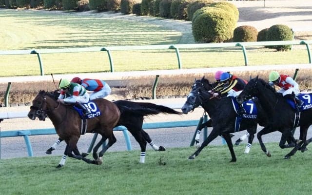 【有馬記念】ルメール「相手が強かった」レース後ジョッキーコメント