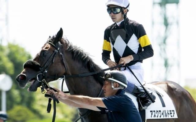 【ホープフルS】武豊騎手JRA平地GI完全制覇なるか!? コンビを組むキズナ産駒に注目