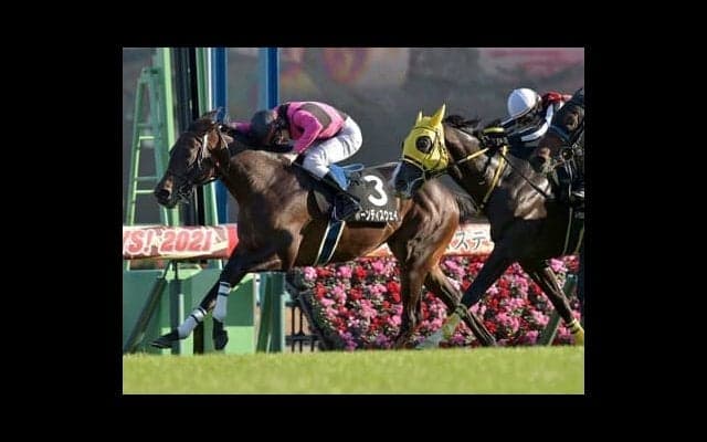 今年は穴党の出番か。「堅い」ホープフルＳでの大駆けを予感させる伏兵２頭