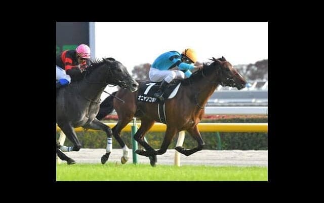 ホープフルＳで来年のクラシック戦線を占う。期待は「中山巧者」と、「旬」な血統を持つ２頭