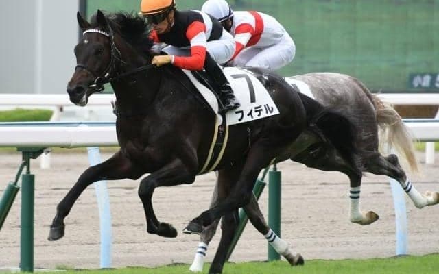 【ホープフルS】フィデル陣営「折り合いの精度を高めて調整」/ねぇさんのトレセン密着