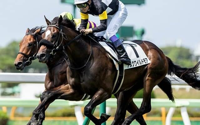 【ホープフルS予想】前走「○○馬」はほぼ用無し!? 意外過ぎる消し馬データに思わぬ人気馬も該当