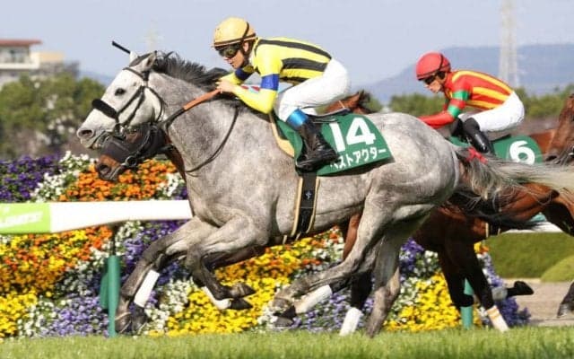 ベストアクターが競走馬登録抹消