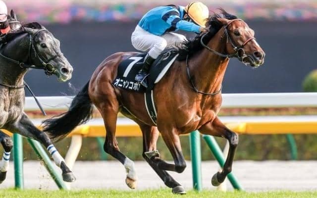 【ホープフルS予想】将来性に加え、現時点での完成度が高い馬に注目