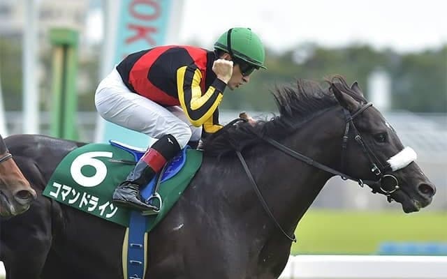 【ホープフルS 13時時点オッズ】コマンドラインが単勝3.0倍の1番人気、キラーアビリティが4.1倍で続く