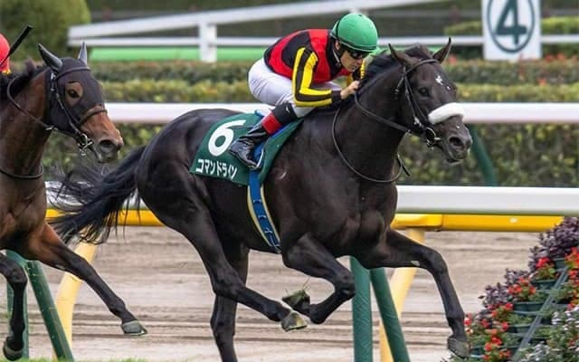 【ホープフルS・馬体重】コマンドラインは530kg(+8)、アスクワイルドモアは474kg(+12)