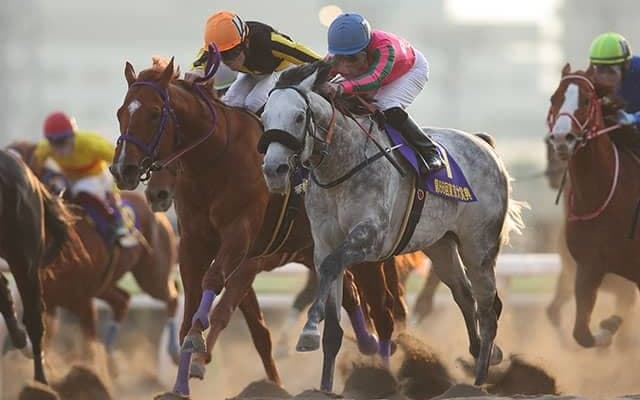 【東京大賞典 注目馬】前人未到の本レース4連覇の偉業達成へ向けて静かに牙を研ぐ砂王