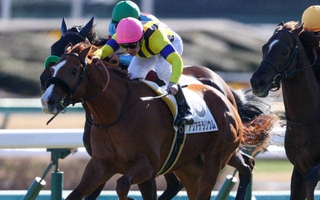 【新馬/中山5R】良血アクアテラリウムがデビューV